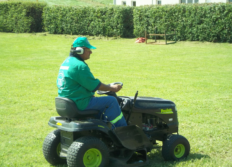 Foto de Espacios verdes 1