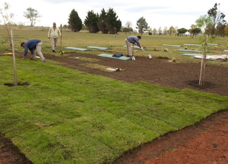 Foto de Espacios verdes 2