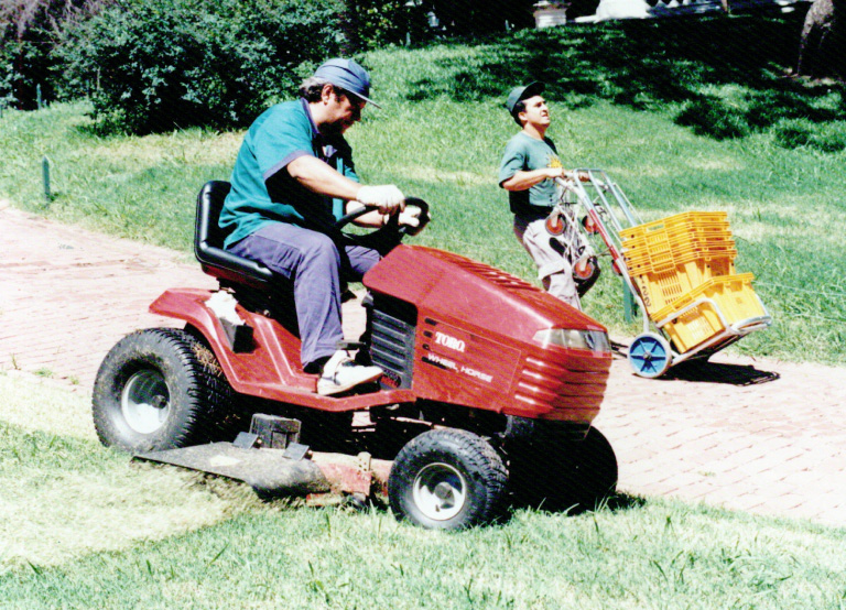 Foto de Espacios verdes 3